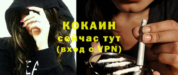 соль ск Белокуриха