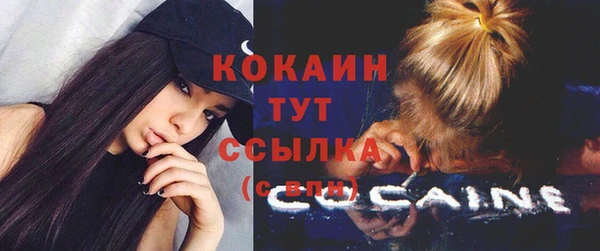 mix Богородск
