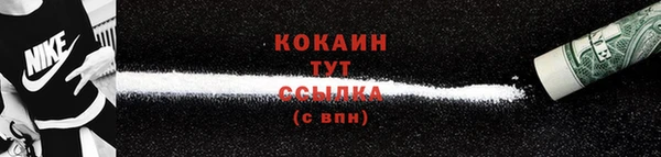 соль ск Белокуриха