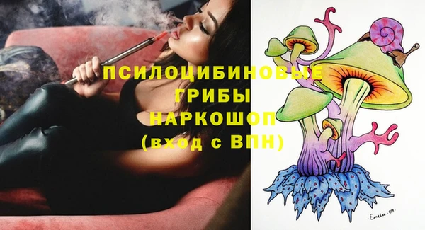 соль ск Белокуриха